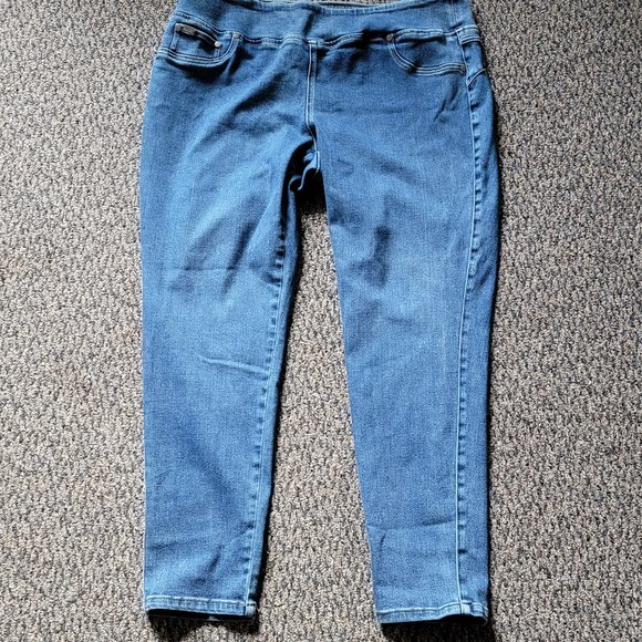 DG2 by Diane Gilman Light Wash Stretch Jeggings Size 1X - Picture 3 of 13